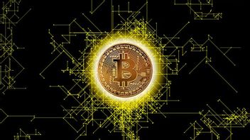 Buruan Tambang!  Bitcoin ke-19 Juta Sudah Ditambang, Tinggal 2 Juta Lagi