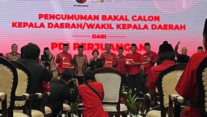 PDIP Resmi Berikan Dukungan untuk Edy Rahmayadi Maju di Pilkada Sumut 