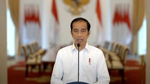 Jokowi Dianggap Belum Optimal "Gebuk" Mafia Tanah