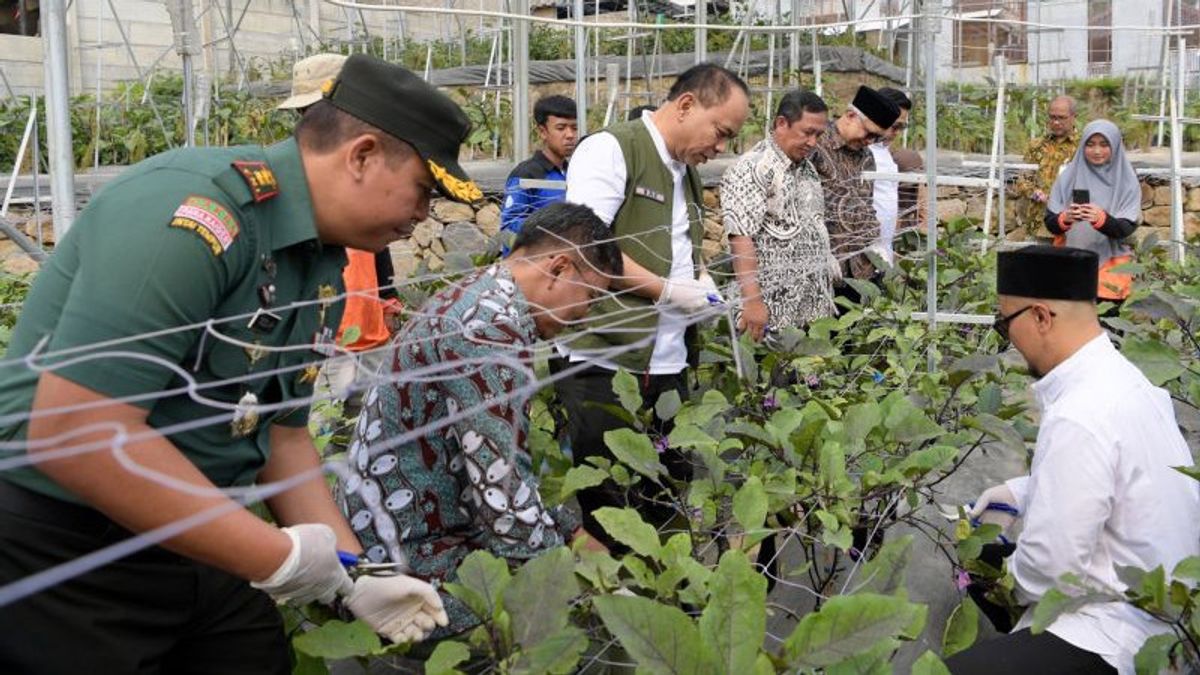 合作社部长Budi Arie:Ciwidey Bandung的Kopontren农业产品可以支持MBG计划