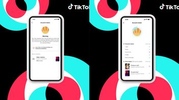 TikTok 从“为您提供的Feed”中修复可能有问题的内容