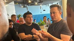 Pembersihan Bot Twitter Mungkin Dilakukan Elon Musk, Banyak Akun Kehilangan <i>Followers</i> 
