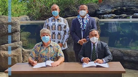 Sebelum Ditangkap KPK, Menteri KKP Edhy Sempat Urus Teknologi Induk Udang di Hawaii