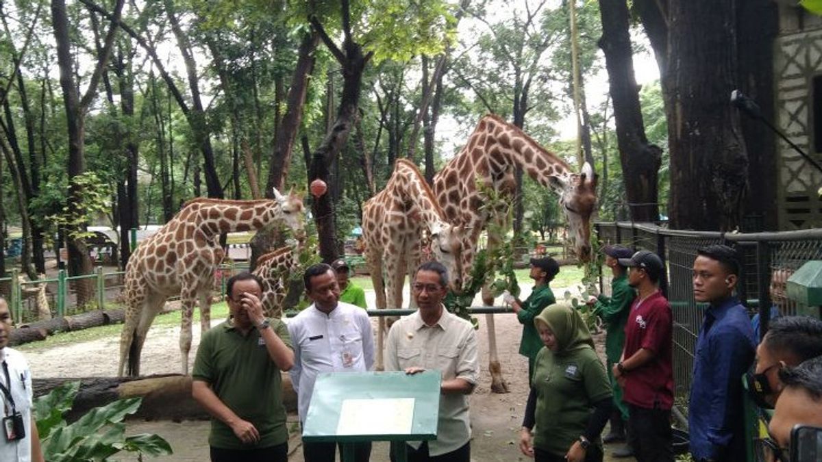 拉古南野生动物园乐观地在2023年实现200亿印尼盾的收入