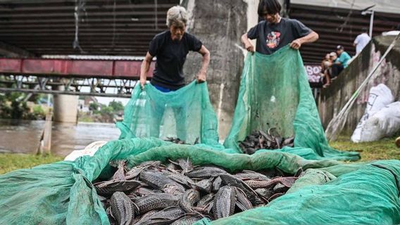 Satpol PP确保雅加达5名鱼肉贩子为siomay商人扫地