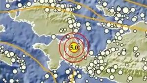 Gempa Papua Barat, Magnitudo 5,0