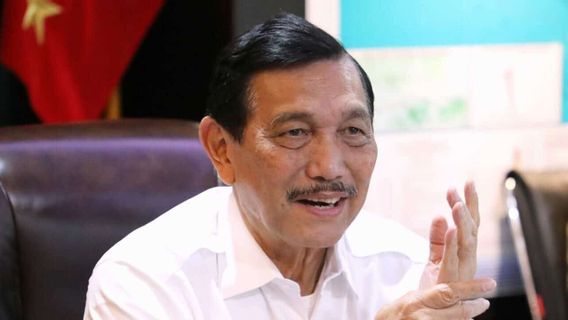 Luhut Pastikan Omnibus Law Tidak Dikerjakan Buru-Buru