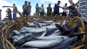 Cegah "Stunting", Anggota DPR Ajak Masyarakat Aceh Tamiang Gemar Makan Ikan
