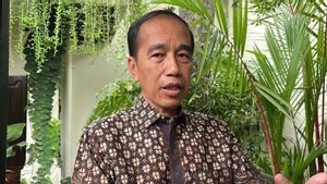 Jokowi Asks For Normalization Of The Ciliwung River To Continue