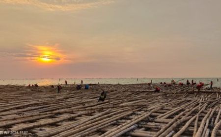 Ada 10 Juta Bambu Dipakai sebagai Matras Tol 'Atas Laut' Semarang-Demak