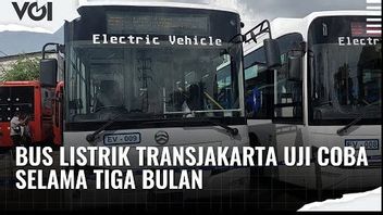 VIDEO: Ini Penampakan Bus Listrik Transjakarta