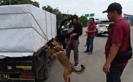 Dibantu Tim K9, Bareskrim Gagalkan Penyelundupan Narkoba di Pelabuhan Bakauheni