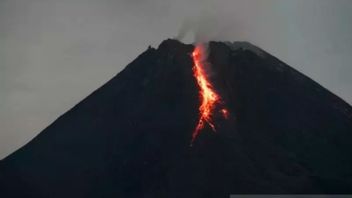 Gunung Merapi Keluarkan 17 Kali Guguran Lava Pijar