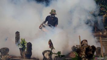 Uncertain Weather, Residents Of South Lampung Asked To Be Alert To Dengue Hemorrhagic Fever