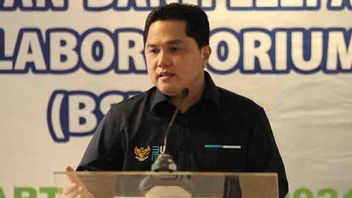 Erick Thohir: BUMN Ambil Langkah Sigap Bantu Ketersediaan Oksigen