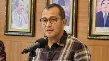 KPK关于涉嫌贿赂和满足的审查,Eddy Hiariej的财富达到了20.6亿印尼盾