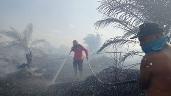 雨季但东加里曼丹森林和陆地火灾的可能性仍然很高,最近BMKG检测31个热点