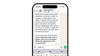 ChatGPT di WhatsApp Kini Dukung Pengiriman Pesan Suara dan Gambar