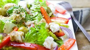 Santap Sehat, Hidup Nikmat: Rahasia Pola Makan Cerdas ala Gaya Hidup Modern