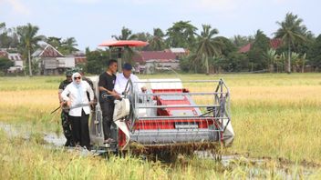 Bulog: Harga Pembelian Baru Rp6.500 per Kg Hanya Berlaku untuk Gabah Sesuai Standar