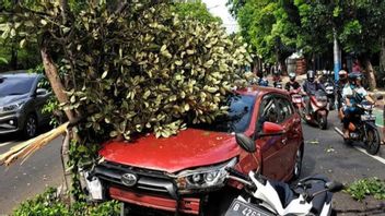 Pecah Ban, Wanita Pengemudi Toyota Yaris Banting Setir Tabrak Pohon di Jalan Pramuka