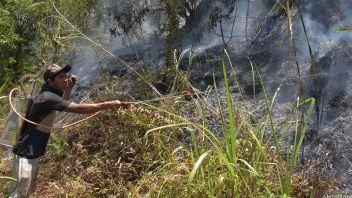 Perhatian, BBMKG Beri Peringatan Waspada Kebakaran Hutan di Bali
