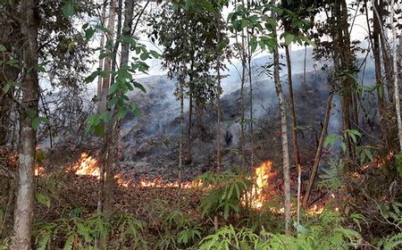 Di Tengah Ancaman Karhutla, Kaltim Berpeluang Hujan 11-20 September