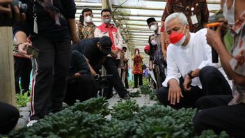 Ganjar Pranowo Temui Pelestari Anggrek Merapi, Ada Peran Megawati di Balik Kedatangannya