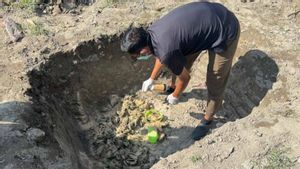 Ratusan Burung Cantik Asal Thailand Digagalkan Masuk Aceh, 2 Penyelundup Ditangkap