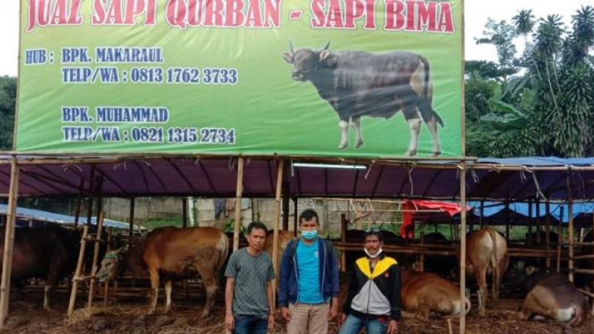 4.366 Livestock Examined In Depok, City Government Says Free Of PMK Disease