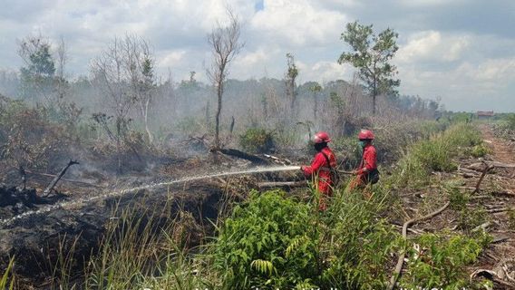 3.5 Hectare Of Land In Singkawang Burns