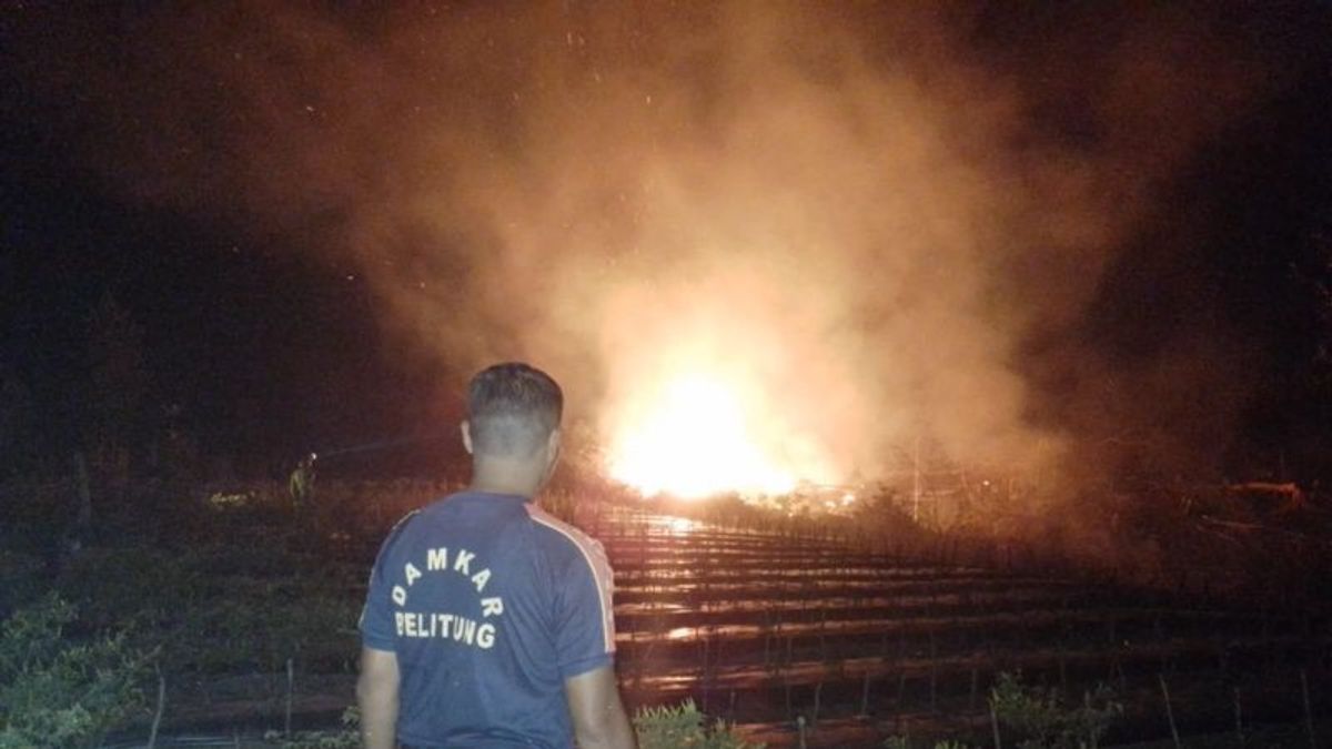 BPBD Admits Every Day Receives Land Fire Reports In Belitung Babel