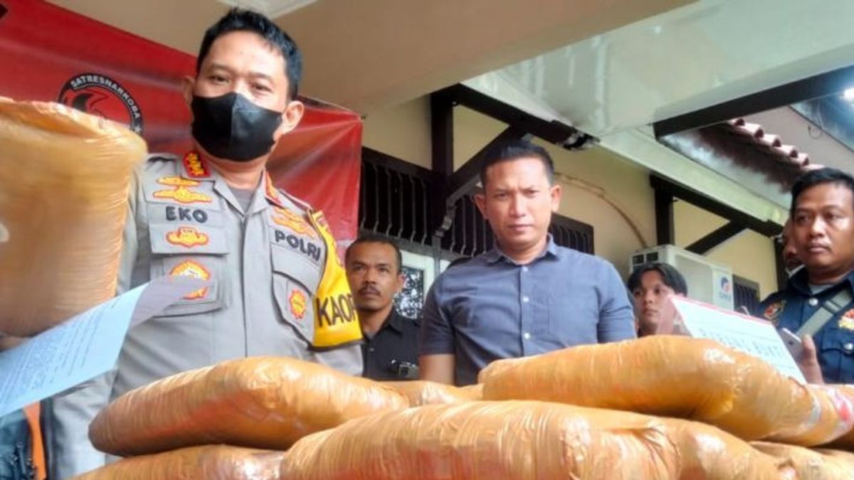 Jambi Police Arrest Two Cannabis Dealers And Secure 45.7 Kg Of Evidence