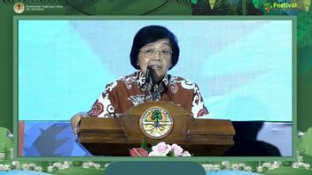 Minister Of Environment And Forestry: Compliance With The Business World In Environmental Management Is Getting Better
