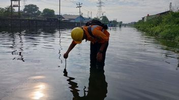 Banjir Semarang Ganggu Perjalanan KA Pandalungan dan Blambangan Ekspres, Keterlambatan hingga 5 Jam