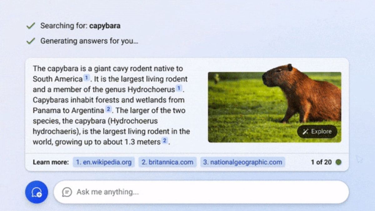 Bing Chat Now Can Show Images In Answering, And Present Many Other New Features