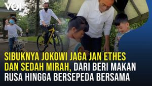 VIDEO: Sibuknya Jokowi Jaga Jan Ethes dan Sedah Mirah, Dari Beri Makan Rusa Hingga Bersepeda Bersama