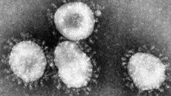 Terus Bertambah, Korban Meninggal Virus Corona di China Sudah Mencapai 106 Jiwa