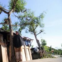  Kemendagri Usul Ada Lembaga Khusus Atur Dana Otsus pada RUU Aceh