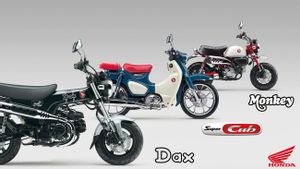 , la preuve de la conformité à l’émission d’émissions Euro 5+, la Honda européenne rafraîchit les moteurs Dax, Monkey et Super Cub C125