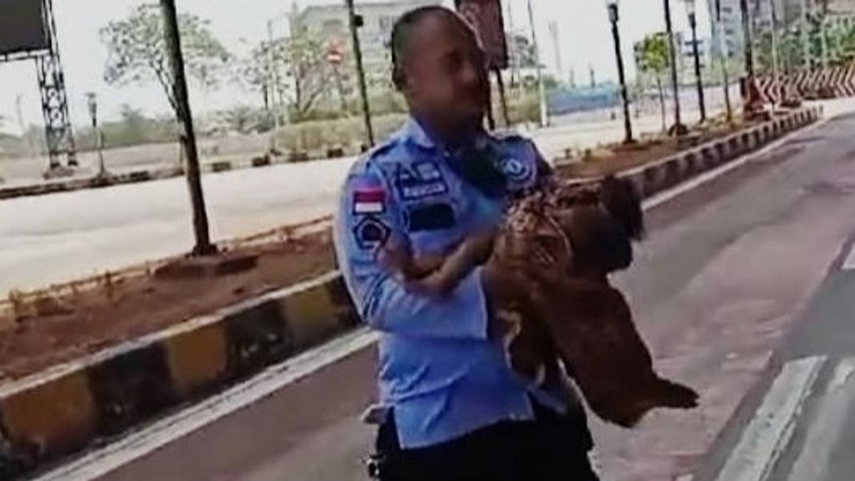 Baby Wrapped In Cloth At Pulogebang Terminal Taken To Cipayung Toddlers