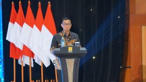 Jadi Perusahaan Pembangkit Terbesar di Asia Tenggara, PLN Tunjuk Direksi Nusantara Power dan Indonesia Power