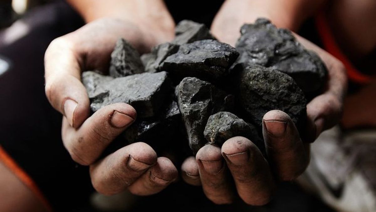 煤炭和棕油价格的命运差异:有些人飙升和下降