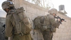 Militer Israel Minta Maaf Setelah Pasukannya Melepaskan Tembakan ke Arah Diplomat Asing
