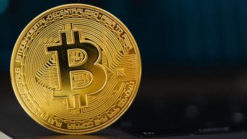 比特币在美国历史上最长的停机后暴跌至1.63亿印尼盾