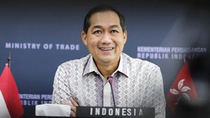 Mendag Lutfi Siap Kejar Ekspor Sarang Burung Walet Rp16 Triliun ke China, Jokowi Minta Kemendag-Kementan Satu Suara