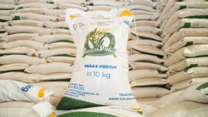 Bapanas Mulai Salurkan Bantuan Beras dan Minyak Goreng untuk 33,2 Juta Penerima