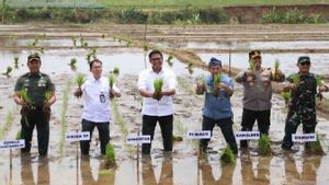 Deputy Minister Sudaryono Ensures Availability Of Pupuk To Pursue Planting Period In October