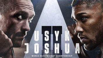 Evander Holyfield Gives Advice To Anthony Joshua Ahead Of Rematch Against Oleksandr Usyk