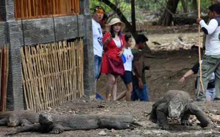 Mulai 1 Januari 2023, Tiket Masuk Pulau Komodo Rp3,75 Juta